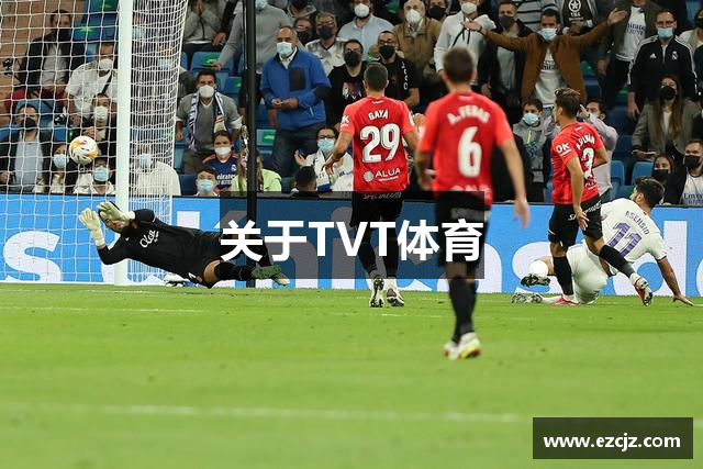 关于TVT体育